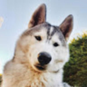 Meet your Posher, Marriam